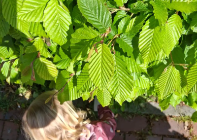 IMG-20250508-WA0009